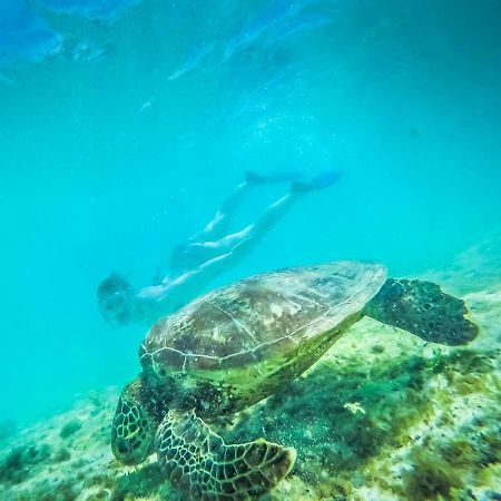 Tailua Beach Fales Manase エクステリア 写真